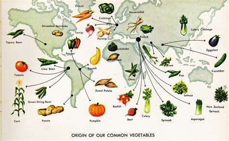 Importance of our indigenous veggies .
